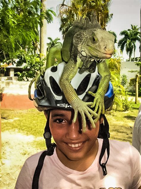 a wild ride in the dominican republic —