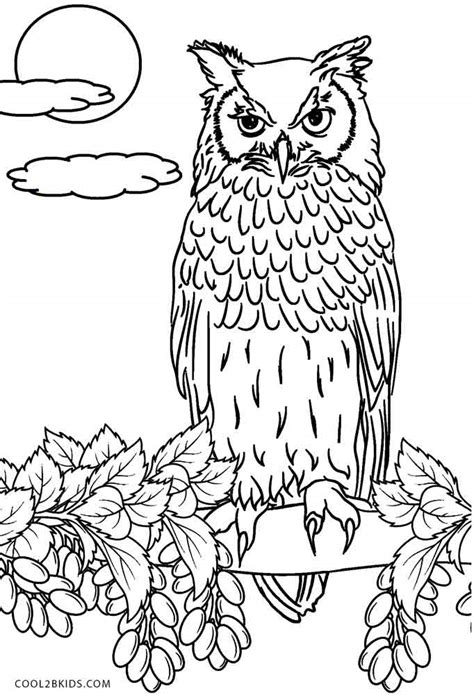 coloring owl colouring page