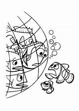 Nemo Buscando Dory Pintarcolorear Encontrar Voorbeeldsjabloon sketch template