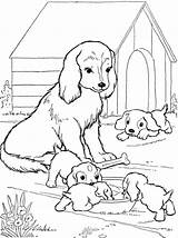 Mommy Coloringbay Chihuahua Coloringhome sketch template