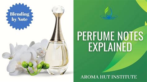 perfume notes explained youtube