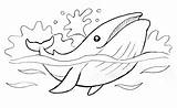 Wieloryb Whale Kolorowanka Oceanie Druku Getdrawings Drukowania Drukowanka Oceany sketch template