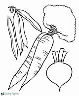 Vegetables Coloring Pages Printable Food Vegetable Fruits Kids Print Fruit Color Clipart Colouring Animal Veggies Sheets Templates Template Library Books sketch template