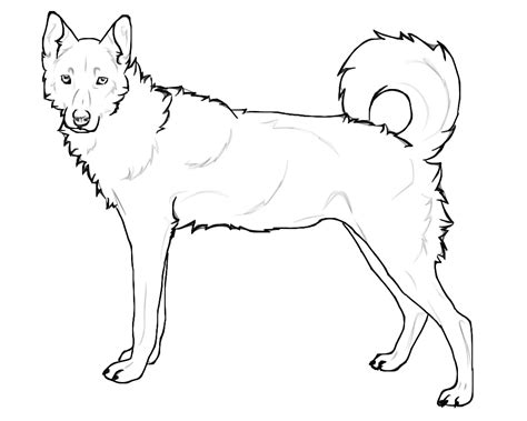 husky coloring pages coloring home