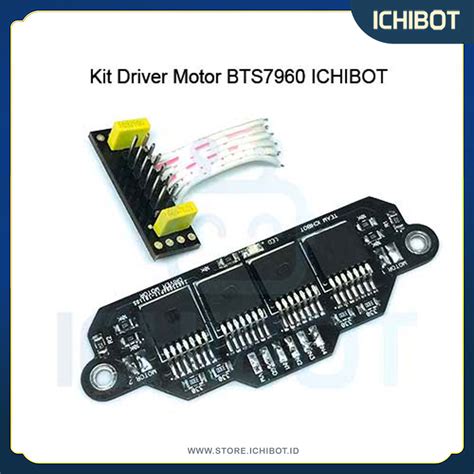 kit driver motor bts ichibot ichibot store