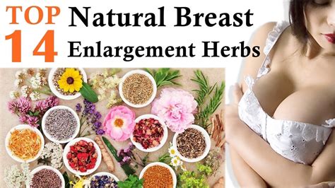 Natural Breast Enlargement Herbs Sex Photos With Naked Women
