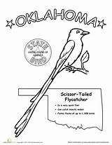 Oklahoma Pages Worksheets sketch template