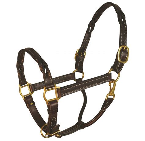 perris twisted leather halter horseloverz