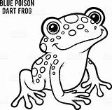 Poison Frog Dart Coloring Blue Designlooter Royalty Vector Book Stock 31kb 1024 sketch template