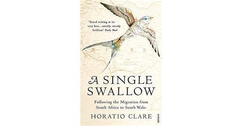 A Single Swallow Following An Epic Journey From South Africa To South