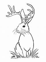 Jackalope Lineart Shoulders Drawcord Woven sketch template