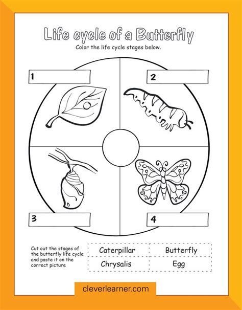 butterfly life cycle preschool worksheet preschool science