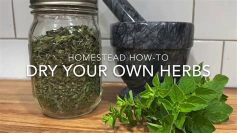 How To Dry Herbs Youtube