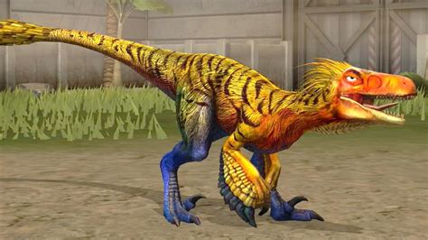 pyroraptor jurassic world  mobile game wikia fandom powered  wikia