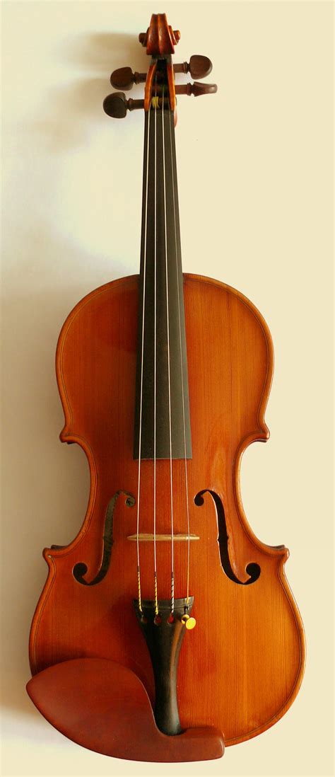 filealeksander januszek violin  frontjpg simple english wikipedia   encyclopedia