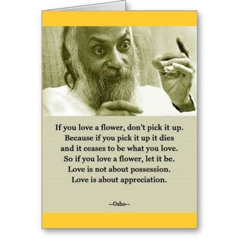 osho quote valentines day anniversary card brilliant quote