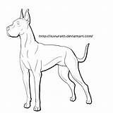 Dane Great Coloring Pages Dog Lineart Comments Coloringhome sketch template