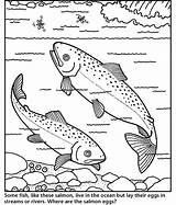 Salmon Coloring Pages Color Animals Animal Sheet Print Back sketch template