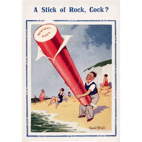 Banned Saucy Seaside Postcards By Donald Mcgill Go On Show Telegraph