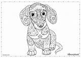 Kleurplaat Moeilijk Kleurplaten Cachorro Volwassenen Hond Honden Poes Print Tekenen sketch template