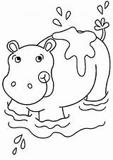 Hippos Coloring Fun Kids Pages sketch template
