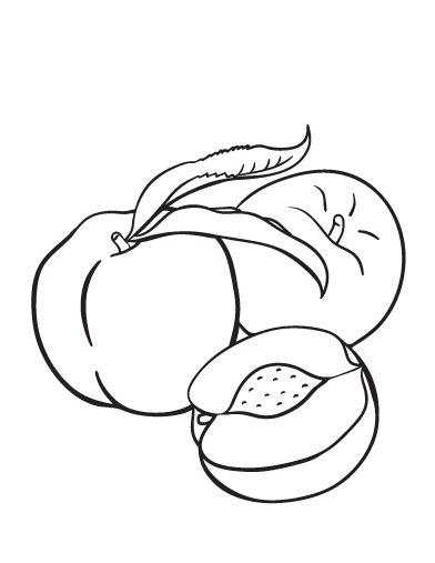 peach coloring page fruit coloring pages coloring pages