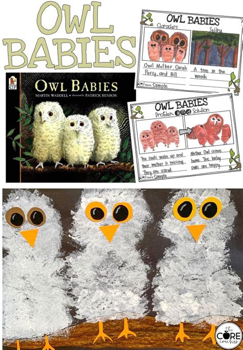 owl babies interactive read aloud lesson plans  activities