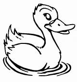 Duck Coloring Swimming Netart sketch template
