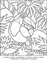 Coloring Toucan Pages Popular sketch template