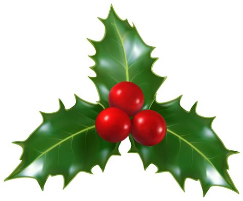 holly border png picture  holly border png