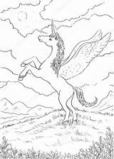 Unicorn Coloring Drawn Magic Hand Stock Illustration Vecto Details High Depositphotos sketch template