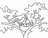 Coloring Pages Baby Birds Bird Nest Kids Feeding Mommy Outline Printable Drawing Fun Lives Cartoon Funny Tree Sheet Colouring Color sketch template