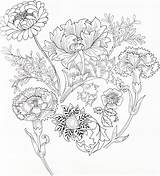 Coloring Medley Botanical Crewel sketch template