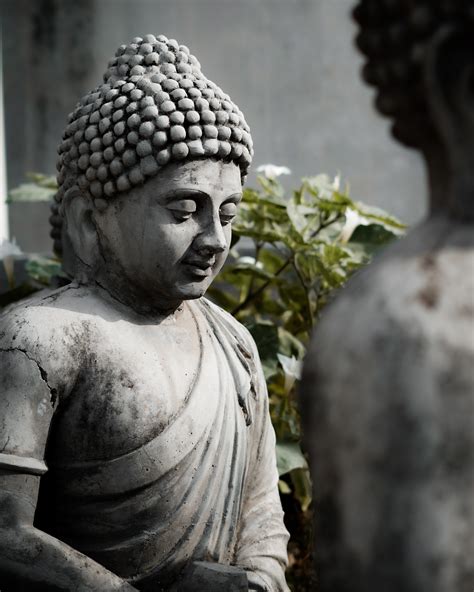 20 Interesting Facts About Buddhism Discover Walks Blog