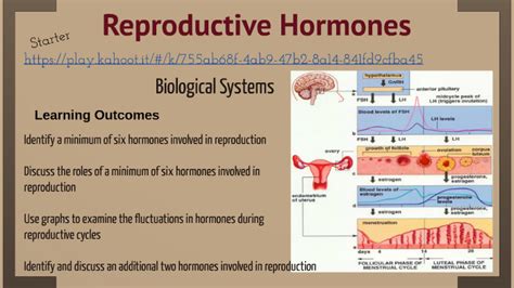 Reproductive Hormones By Alexander Sawyer