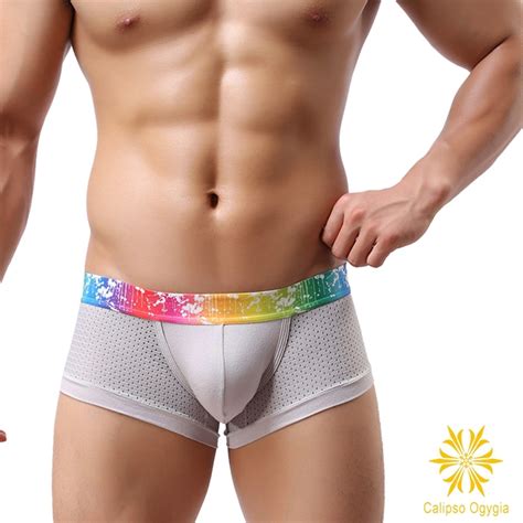 new model mesh breathable men s sexy cotton underwear boxer underpants