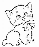 Kitten Cat Coloring Pages Getcolorings Printable Colorings sketch template