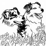 Collie Border Coloring Pages Field Dogs Flower Two Getcolorings Stock Print sketch template
