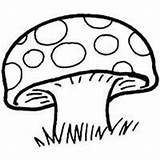 Toadstool Coloring Pages Spotted Surfnetkids Printable Science Getcolorings Previous sketch template