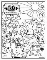 Armadillo Roadhouse Critter sketch template