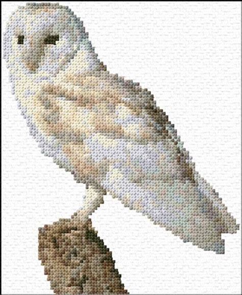 barn owl owl cross stitch cross stitch owl cross stitch