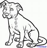 Dog Draw Drawing Drawings Dogs Sitting Step Line Sketches Sketch Cartoon Coloring Clipart Clip Cliparts Puppy Pitbull Color Boxer Animal sketch template
