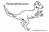 Pachycephalosaurus Dinossauro Dinosaure Colorir Coloriage Animaux Dinosaurs Pritnable Triceratops Tudodesenhos Coloriages Freekidscoloringpage Olphreunion 1526 sketch template