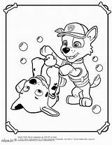 Patrol Paw Coloring Pages Print Birthday Printable Realistic sketch template