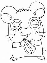 Colorat Copii Fise Hamster Desenat Foi Hamsters Modele Ws sketch template