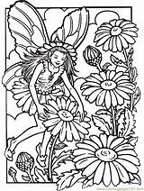 Coloring Pages Fantasy Fairy Fairies Flower Adults Kids Garden Colouring Printable Sheets Book Print Template Adult Flowers Thumbelina Color Honesty sketch template
