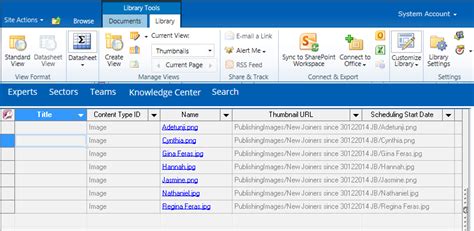 fix sharepoint 2010 datasheet view is disabled issue sharepoint diary