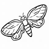 Coloring Pages Cicada Insect Firefly Preschool Animals Printable Color Kids Getdrawings Drawing sketch template