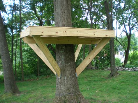 build  platform   tree encycloall