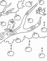 Coloring Tree Apple Bird Pages Singing Birds Color Kids Popular Choose Board sketch template